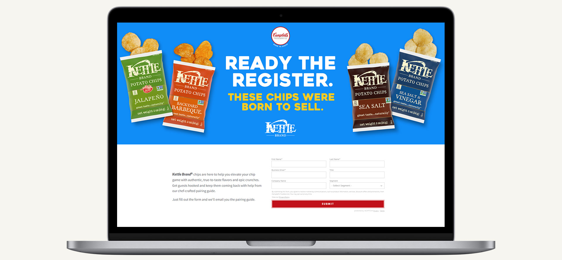 We promoted unique benefits of the chips and teased a pairing guide to encourage email sign-ups.