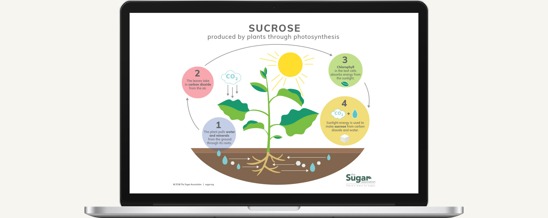 An editorial site needs large amounts of information to support it, so we developed a wide range of content in order to further the message of the association.